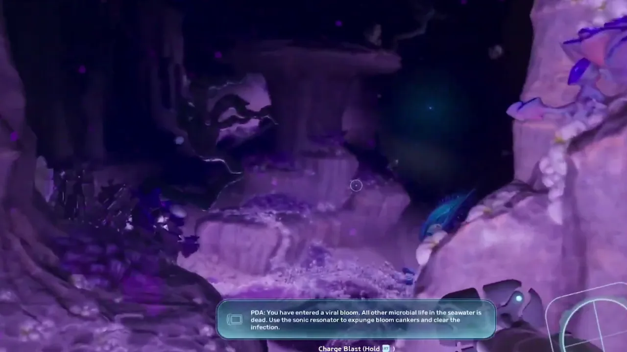 Deep entry evidence frame