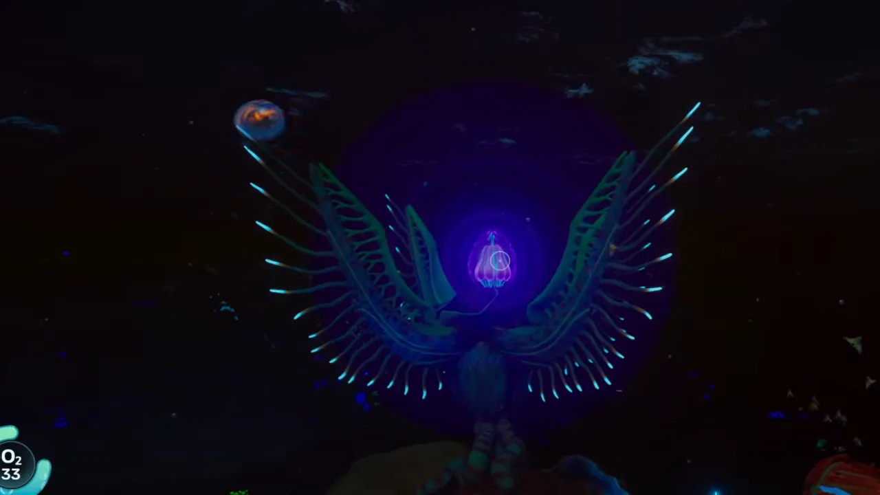 Puzzle entry