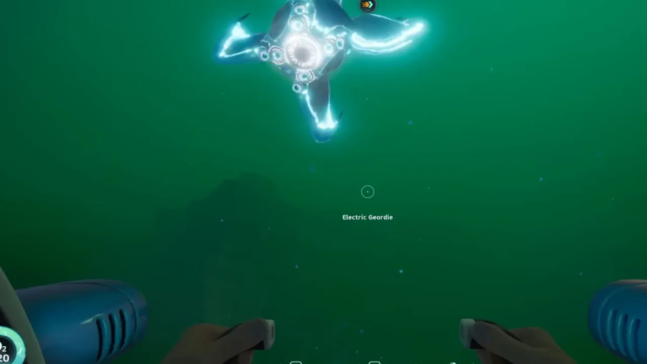 Movement test