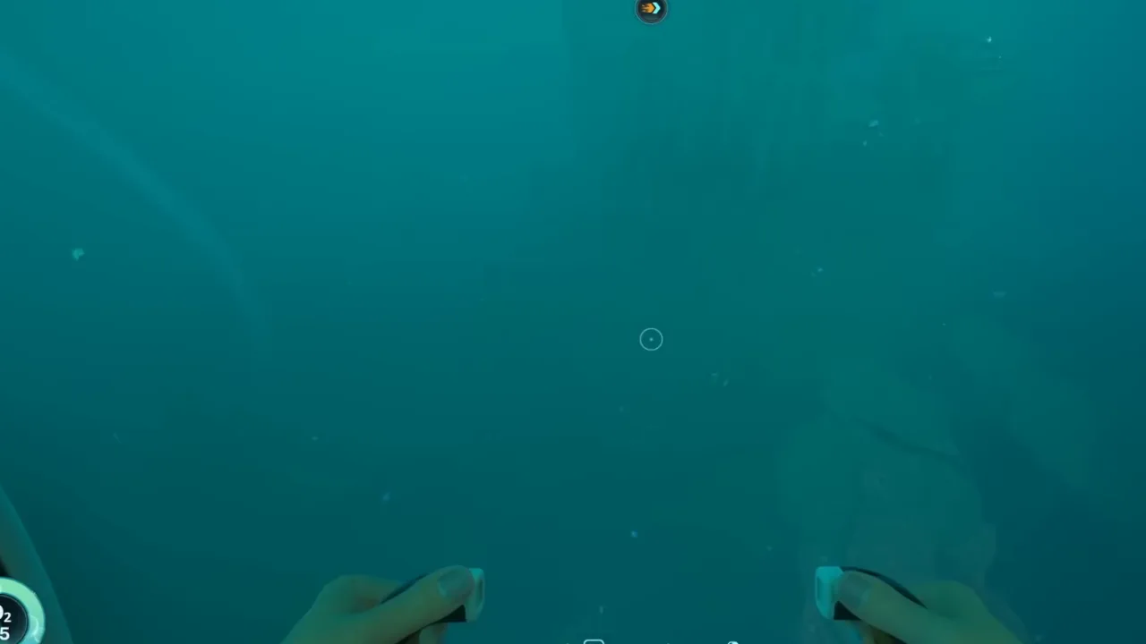 Module check